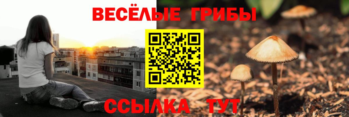 Псилоцибиновые грибы мицелий  Вход с VPN  Михайловск 